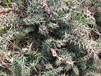 Pianobello - 01042012 096.jpg